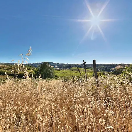 Virginia - Podere Moricci דירה מונטאיונה